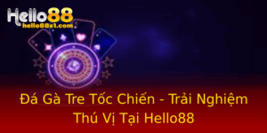 A Ga Tre Toc Chien Trai Nghiem Thu Vi Tai Hello88