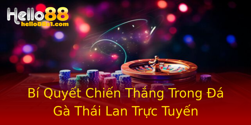 Bí Quyết Chiến Thắng Trong Đá Gà Thái Lan Trực Tuyến Bí Quyết Chiến Thắng Trong Đá Gà Thái Lan Trực Tuyến