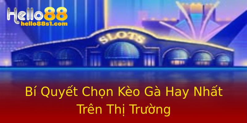 Bí Quyết Chọn Kèo Gà Hay Nhất Trên Thị Trường Bí Quyết Chọn Kèo Gà Hay Nhất Trên Thị Trường