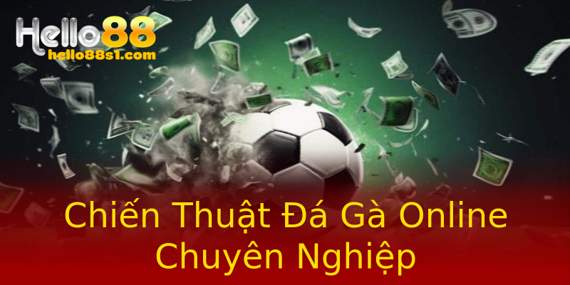 Chiến Thuật Đá Gà Online Chuyên Nghiệp Chiến Thuật Đá Gà Online Chuyên Nghiệp