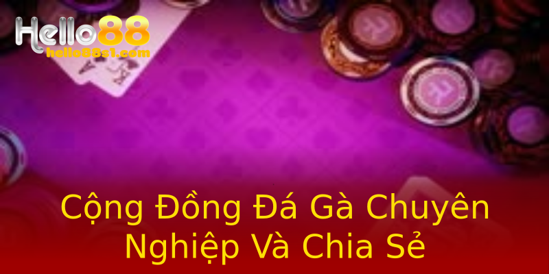 Cộng Đồng Đá Gà Chuyên Nghiệp Và Chia Sẻ Cộng Đồng Đá Gà Chuyên Nghiệp Và Chia Sẻ