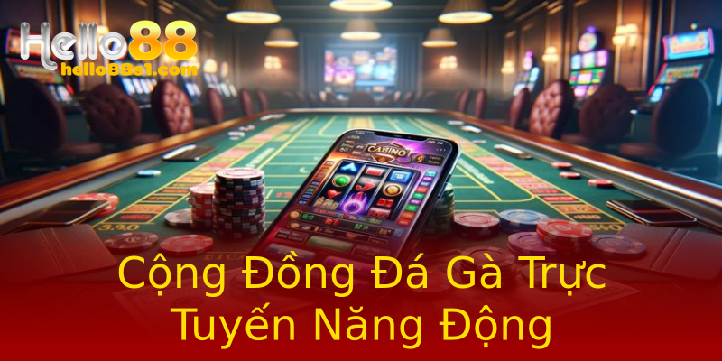 Cộng Đồng Đá Gà Trực Tuyến Năng Động Cộng Đồng Đá Gà Trực Tuyến Năng Động