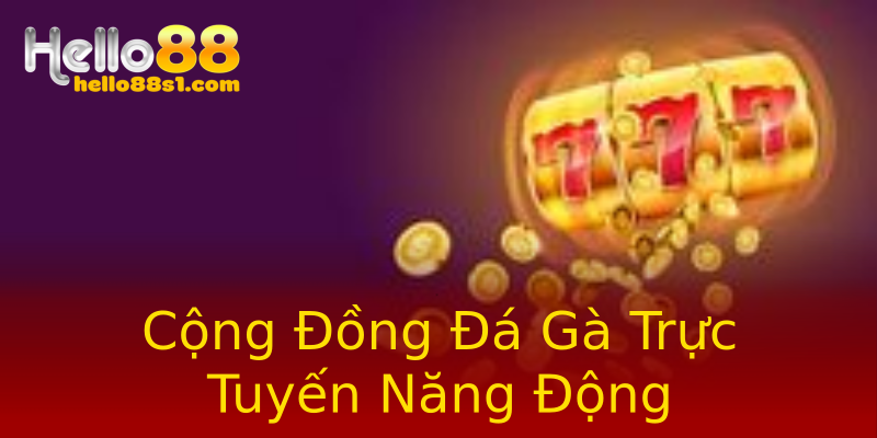 Cộng Đồng Đá Gà Trực Tuyến Năng Động Cộng Đồng Đá Gà Trực Tuyến Năng Động