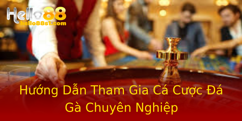 Hướng Dẫn Tham Gia Cá Cược Đá Gà Chuyên Nghiệp Hướng Dẫn Tham Gia Cá Cược Đá Gà Chuyên Nghiệp
