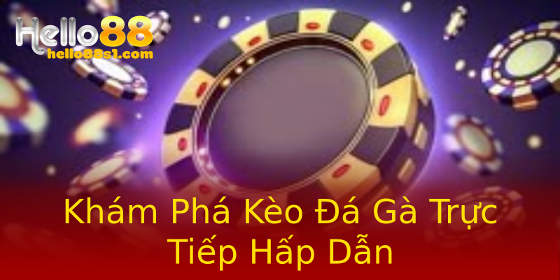 Khám Phá Kèo Đá Gà Trực Tiếp Hấp Dẫn Khám Phá Kèo Đá Gà Trực Tiếp Hấp Dẫn