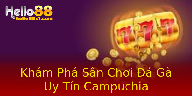 Khám Phá Sân Chơi Đá Gà Uy Tín Campuchia Khám Phá Sân Chơi Đá Gà Uy Tín Campuchia