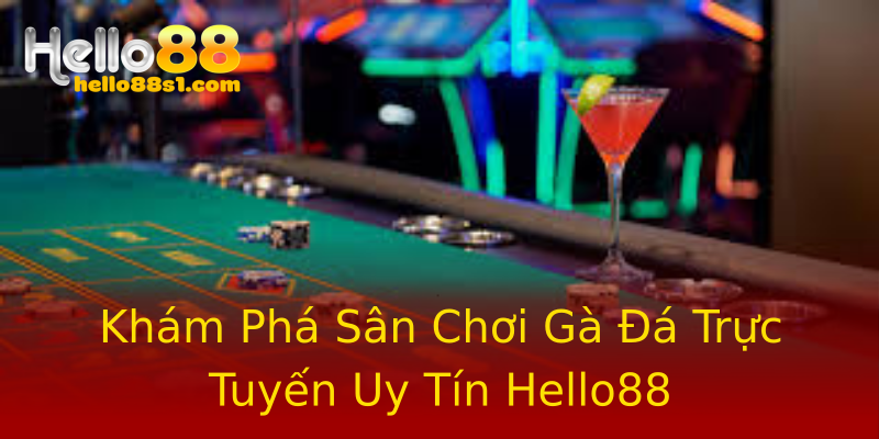 Khám Phá Sân Chơi Gà Đá Trực Tuyến Uy Tín Hello88 Khám Phá Sân Chơi Gà Đá Trực Tuyến Uy Tín Hello88