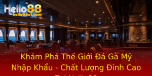 Kham Pha The Gioi A Ga My Nhap Khau Chat Luong Inh Cao Tai Hello88