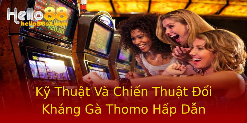 Kỹ Thuật Và Chiến Thuật Đối Kháng Gà Thomo Hấp Dẫn Kỹ Thuật Và Chiến Thuật Đối Kháng Gà Thomo Hấp Dẫn