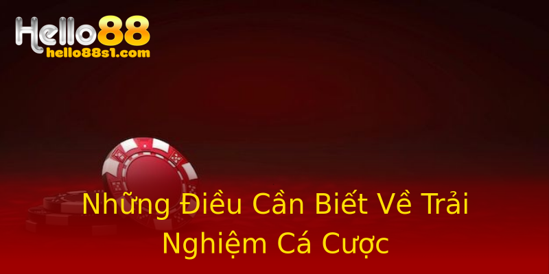 Những Điều Cần Biết Về Trải Nghiệm Cá Cược Những Điều Cần Biết Về Trải Nghiệm Cá Cược
