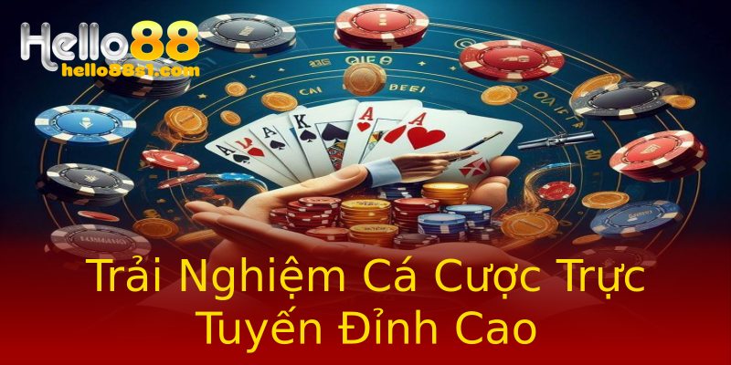 Trải Nghiệm Cá Cược Trực Tuyến Đỉnh Cao Trải Nghiệm Cá Cược Trực Tuyến Đỉnh Cao