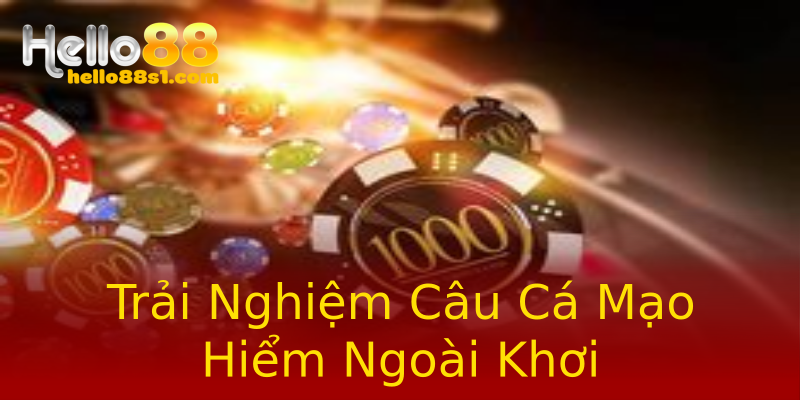 Trải Nghiệm Câu Cá Mạo Hiểm Ngoài Khơi Trải Nghiệm Câu Cá Mạo Hiểm Ngoài Khơi