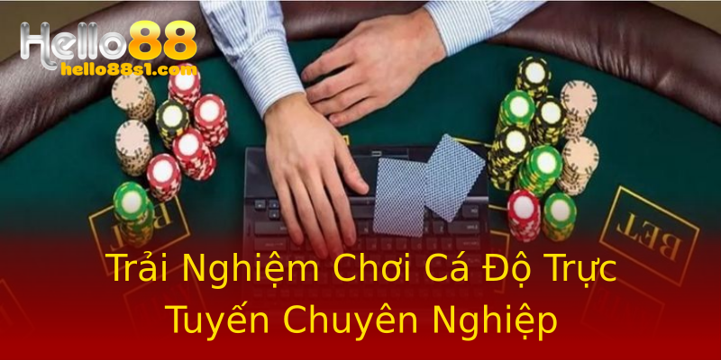 Trải Nghiệm Chơi Cá Độ Trực Tuyến Chuyên Nghiệp Trải Nghiệm Chơi Cá Độ Trực Tuyến Chuyên Nghiệp